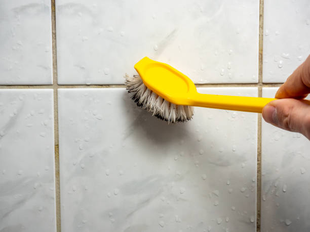 Trusted Grayson Valley, AL Mold Removal Experts